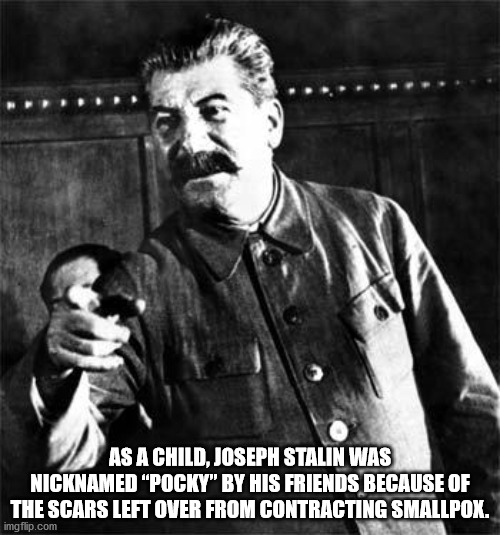 As A Child, Joseph Stalin Was Nicknamed Pocky by his friends because of the scars left over from contracting smallpox