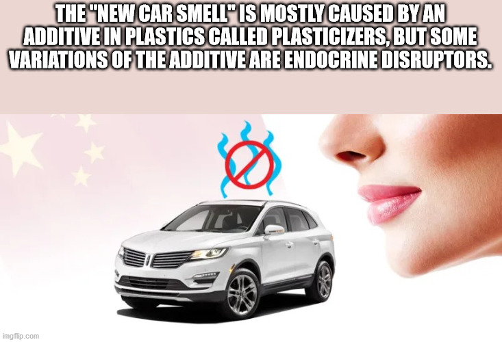 The new car smell is mostly caused by an additive in plastics called plasticizers but some variations of the additive are endocrine disruptors
