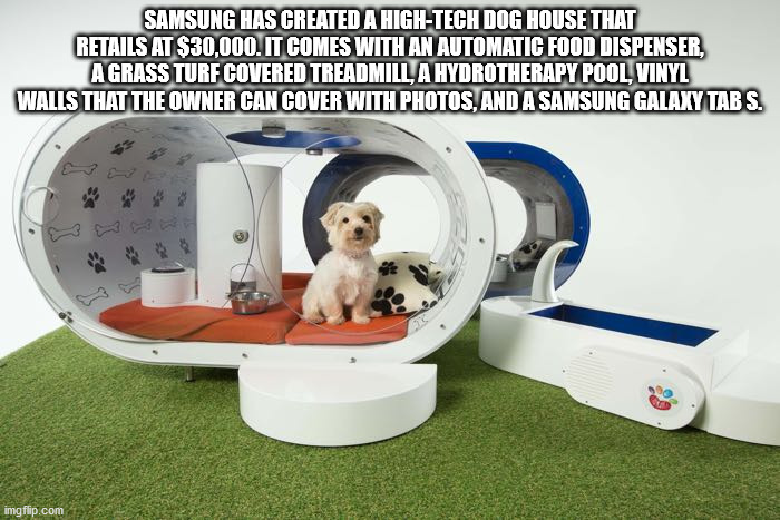 Samsung Has Created A HighTech Dog House That Retails At $30,000. It Comes With An Automatic Food Dispenser, A Grass Turf Covered Treadmill, A Hydrotherapy Pool, Vinyl Walls That The Owner Can Cover With Photos, And A Samsung Galaxy Tab