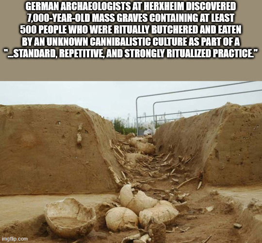 German Archaeologists At Herxheim Discovered 7,000YearOld Mass Graves Containing At Least 500 People Who Were Ritually Butchered And Eaten By An Unknown Cannibalistic Culture As Part Of A Standard, Repetitive, And Strongly Ritualized Practice.
