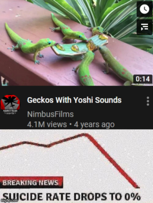crime rate meme - Geckos With Yoshi Sounds NimbusFilms 4.1M views 4 years ago Breaking News Suicide Rate Drops To 0%