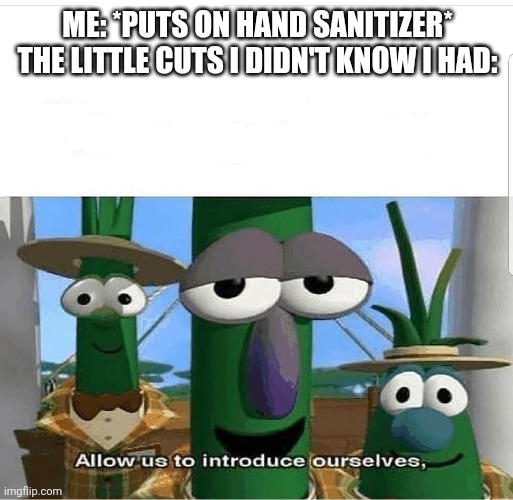 school dank memes - Me "Puts On Hand Sanitizer The Little Cuts I Didn'T Know I Had Allow us to introduce ourselves, imgflip.com