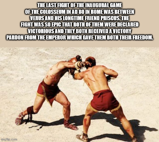 priscus and verus gladiators - The Last Fight Of The Inaugural Game Of The Colosseum In Ad 80 In Rome Was Between Verus And His Longtime Friend Priscus. The Fight Was So Epic That Both Of Them Were Declared Victorious And They Both Received A Victory Pard