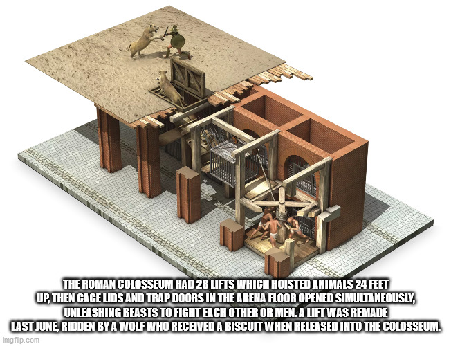 scale model - The Roman Colosseum Had 28 Lifts Which Hoisted Animals 24 Feet Up, Then Cage Lids And Trap Doors In The Arena Floor Opened Simultaneously, Unleashing Beasts To Fight Each Other Or Men A Lift Was Remade Last June, Ridden By A Wolf Who Receive