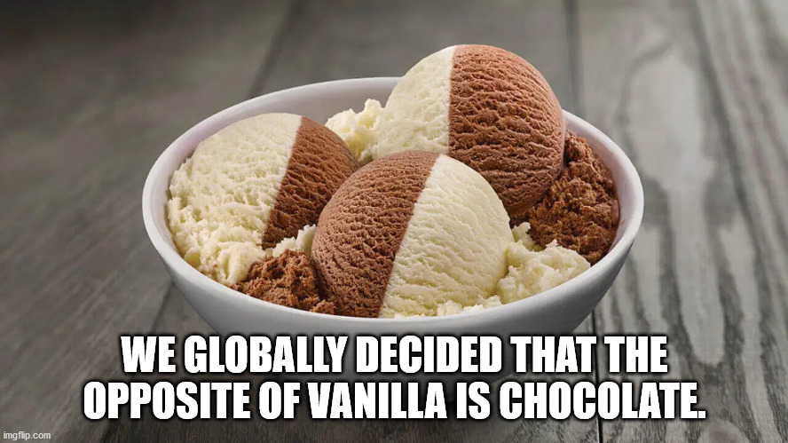 We Globally Decided That The Opposite Of Vanilla Is Chocolate.