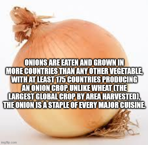 alpesh patel - Onions Are Eaten And Grown In More Countries Than Any Other Vegetable, With At Least 175 Countries Producing An Onion Crop. Un Wheat The Largest Global Crop By Area Harvested, The Onion Is A Staple Of Every Major Cuisine imgflip.com