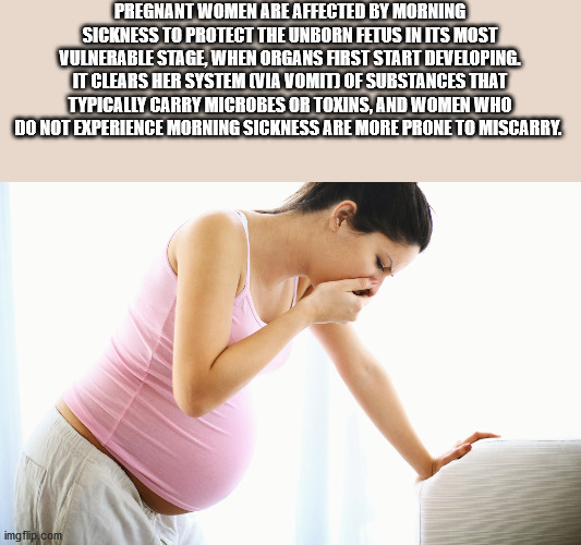 shoulder - Pregnant Women Are Affected By Morning Sickness To Protect The Unborn Fetus In Its Most Vulnerable Stage, When Organs First Start Developing. It Clears Her System Via Vomit Of Substances That Typically Carry Microbes Or Toxins, And Women Who Do
