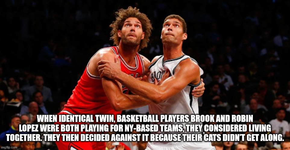 basketball player - When Identical Twin, Basketball Players Brook And Robin Lopez Were Both Playing For NyBased Teams, They Considered Living Together. They Then Decided Against It Because Their Cats Didn'T Get Along. imgflip.com