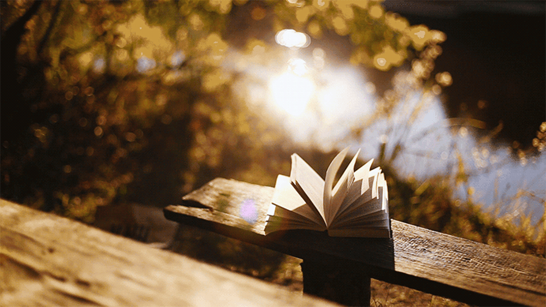cinemagraph book gif
