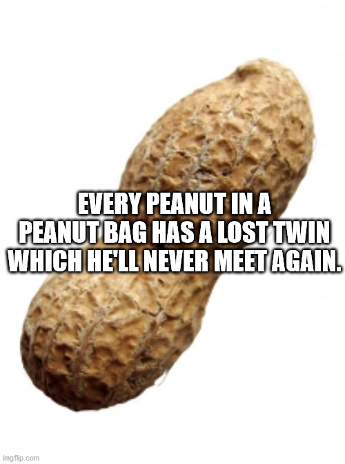 Every Peanut In A Peanut Bag Has A Lost Twin Which He'Ll Never Meet Again. imgflip.com