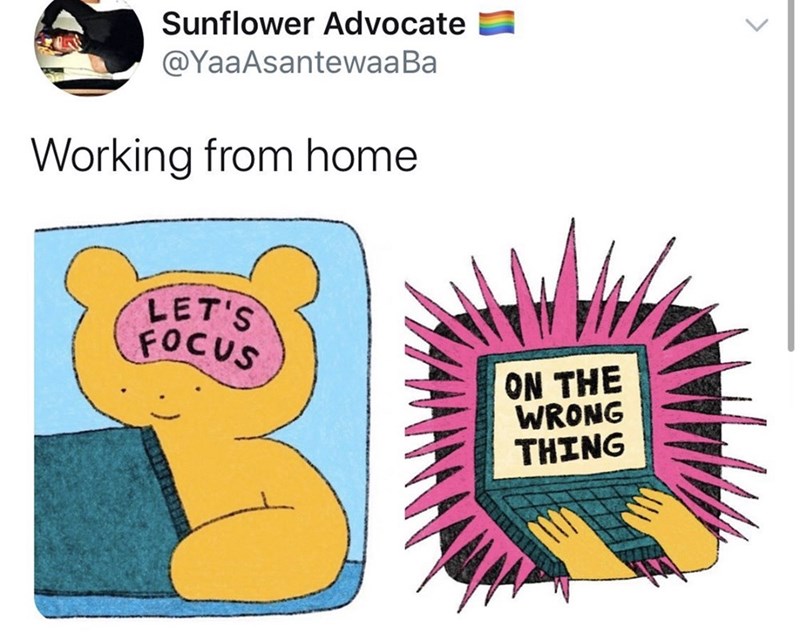 alison zai - Sunflower Advocate Working from home Let'S Focus On The Wrong Thing