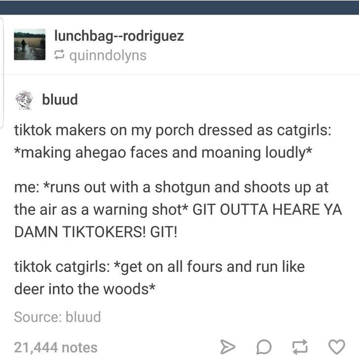 document - lunchbagrodriguez quinndolyns bluud tiktok makers on my porch dressed as catgirls making ahegao faces and moaning loudly me runs out with a shotgun and shoots up at the air as a warning shot Git Outta Heare Ya Damn Tiktokers! Git! tiktok catgir