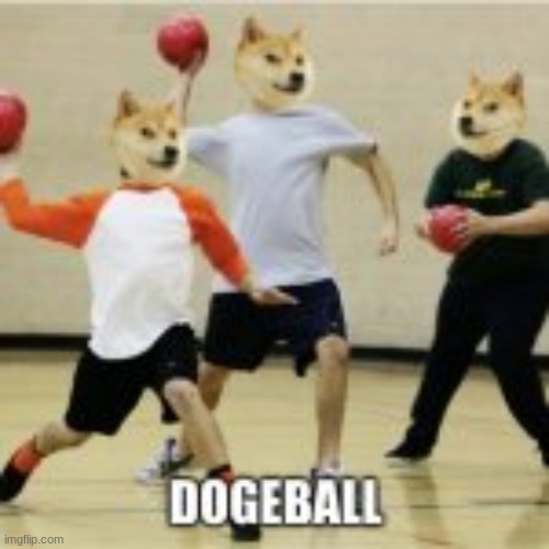 accidentally googled not disappointed - Dogeball imgflip.com