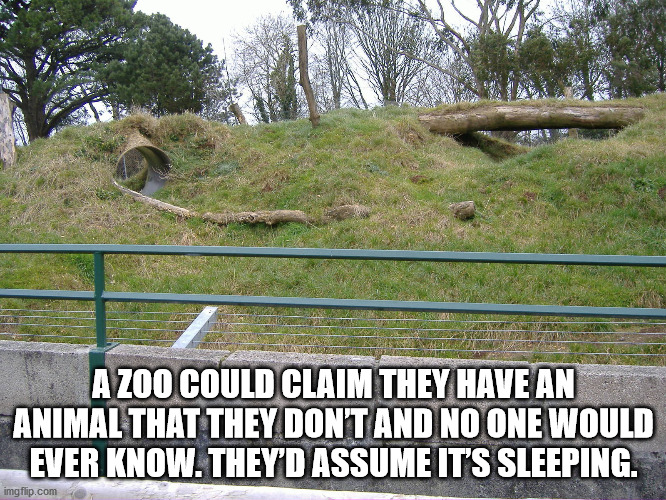 willy wonka meme - A Zoo Could Claim They Have An Animal That They Dont And No One Would Ever Know. They'D Assume It'S Sleeping. imgflip.com