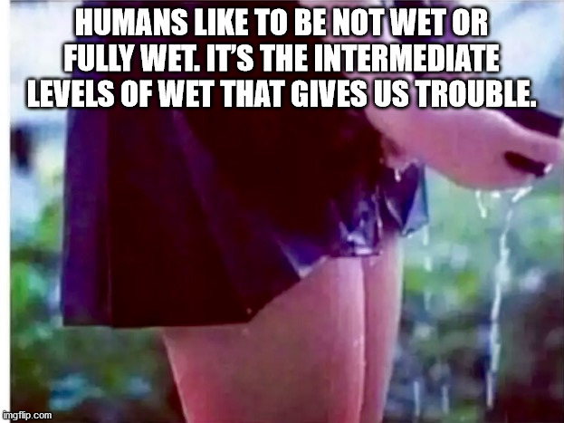 crocs meme - Humans To Be Not Wet Or Fully Wet. It'S The Intermediate Levels Of Wet That Gives Us Trouble. imgflip.com