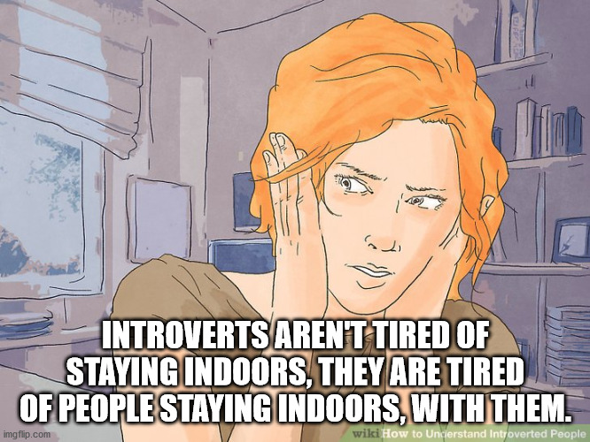 cartoon - 17 st Introverts Arent Tired Of Staying Indoors, They Are Tired Of People Staying Indoors, With Them. imgflip.com wiki How to Unclerstand Introverted People