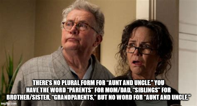 aunt may amazing spider man - There'S No Plural Form For Aunt And Uncle" You Have The Word Parents" For MomDad, "Siblings" For BrotherSister, "Grandparents," But No Word For Aunt And Uncle" imgflip.com