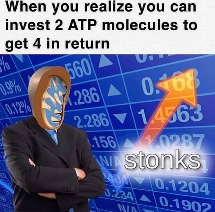 stoinks memes - When you realize you can invest 2 Atp molecules to get 4 in return 560 0.9% 0.168 K.286 0.12% 2.286 14663 .156 1.0287 Wastonks 140 0.1204 0.234 0.1902 Nin