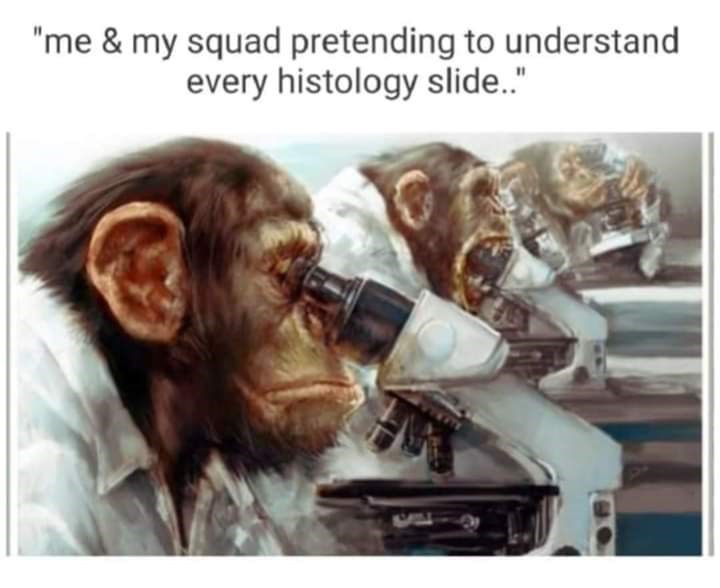 atheists be like - "me & my squad pretending to understand every histology slide.."