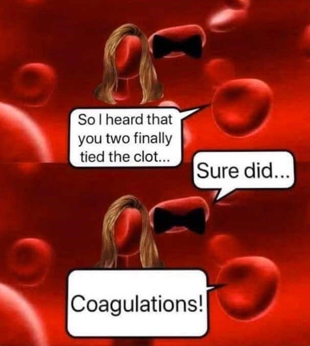 thrombosis funny - So I heard that you two finally tied the clot... Sure did... Coagulations!