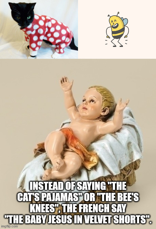 baby jesus - Instead Of Saying "The Cats Pajamas" Or "The Bee'S Knees". The French Say "The Baby Jesus In Velvet Shorts". imgflip.com
