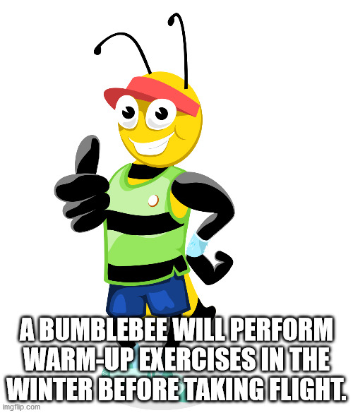 atlanta falcons - a A Bumblebee Will Perform WarmUp Exercises In The Winter Before Taking Flight. imgflip.com
