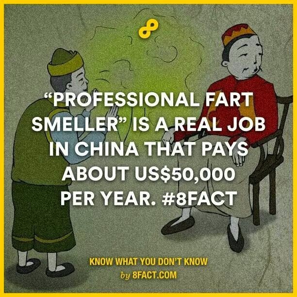 professional fart smeller - 8 Professional Fart Smeller Is A Real Job In China That Pays About Us$50,000 Per Year. Know What You Don'T Know by 8FACT.Com