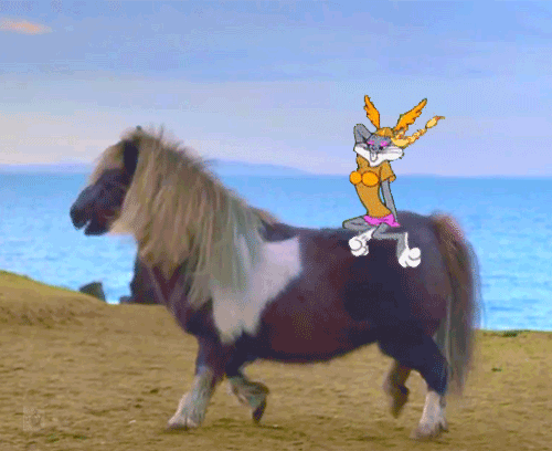riding a pony gif