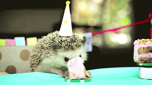 happy birthday hedgehog gif