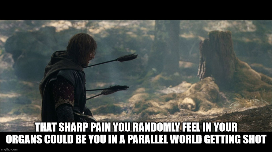 lord of the rings boromir death - That Sharp Pain You Randomly Feel In Your Organs Could Be You In A Parallel World Getting Shot imgflip.com