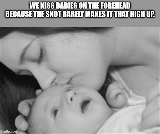 love - We Kiss Babies On The Forehead Because The Snot Rarely Makes It That High Up. imgflip.com