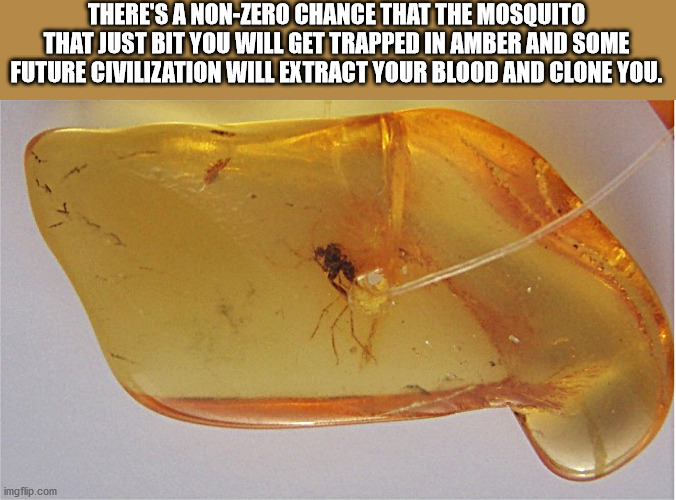 mosquito in amber - There'S A NonZero Chance That The Mosquito That Just Bit You Will Get Trapped In Amber And Some Future Civilization Will Extract Your Blood And Clone You. imgflip.com
