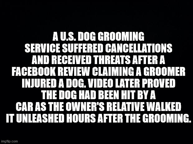 monochrome photography - A U.S. Dog Grooming Service Suffered Cancellations And Received Threats After A Facebook Review Claiming A Groomer Injured A Dog. Video Later Proved The Dog Had Been Hit By A Car As The Owner'S Relative Walked It Unleashed Hours A