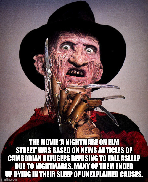 freddy krueger robert englund - The Movie A Nightmare On Elm Street Was Based On News Articles Of Cambodian Refugees Refusing To Fall Asleep Due To Nightmares. Many Of Them Ended Up Dying In Their Sleep Of Unexplained Causes. imgflip.com