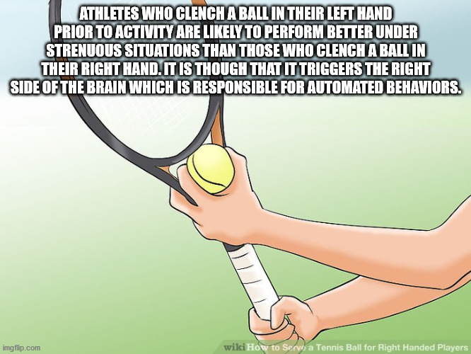 cartoon - Athletes Who Clench A Ball In Their Left Hand Prior To Activity Are ly To Perform Better Under Strenuous Situations Than Those Who Clench A Ball In Their Right Hand. It Is Though That It Triggers The Right Side Of The Brain Which Is Responsible 