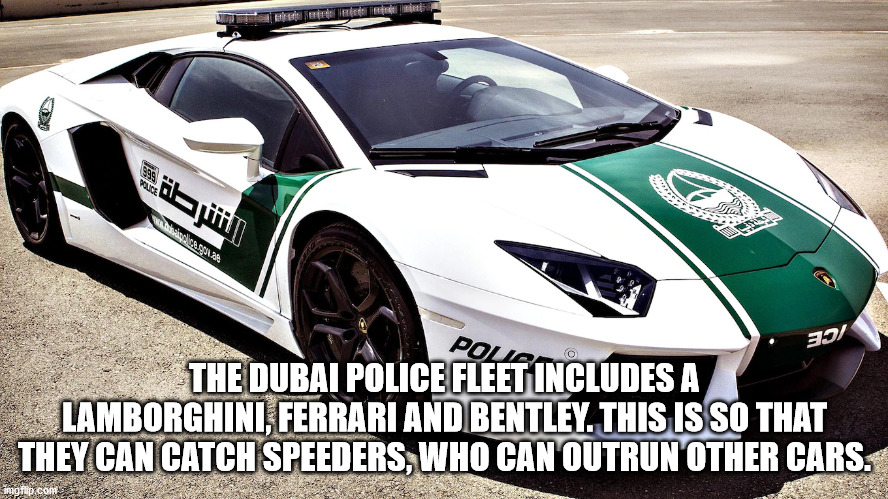 most expensive police car - Wa 30 Polls The Dubai Police Fleet Includes A Lamborghini, Ferrari And Bentley. This Is So That They Can Catch Speeders, Who Can Outrun Other Cars. imgflip.com