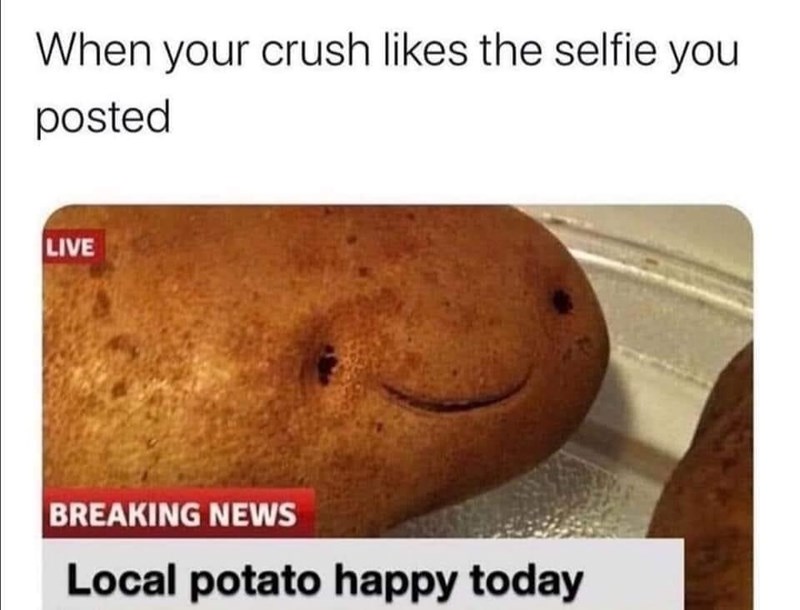 happy potato meme - When your crush the selfie you posted Live Breaking News Local potato happy today