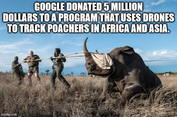 poaching africa - Google Donated 5 Million Dollars To A Program That Uses Drones To Track Poachers In Africa And Asia. imgflip.com