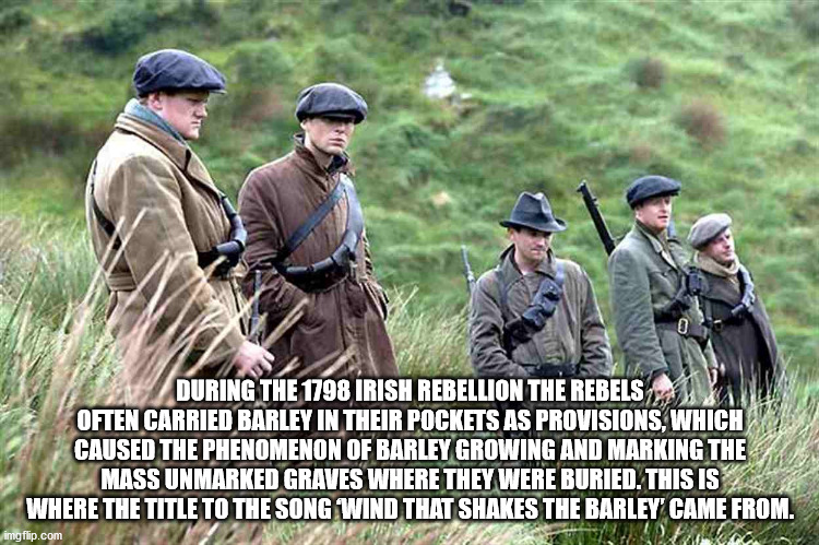 The Wind That Shakes the Barley - 0 During The 1798 Irish Rebellion The Rebels Often Carried Barley In Their Pockets As Provisions, Which Caused The Phenomenon Of Barley Growing And Marking The Mass Unmarked Graves Where They Were Buried. This Is Where Th