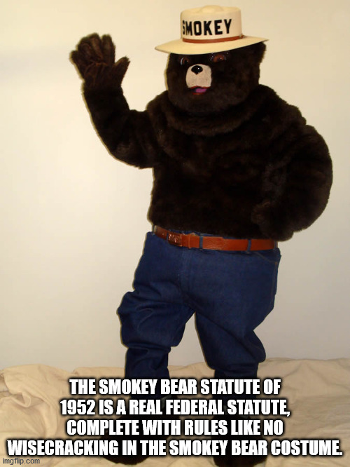 photo caption - Smokey The Smokey Bear Statute Of 1952 Is A Real Federal Statute, Complete With Rules No Wisecracking In The Smokey Bear Costume. imgflip.com
