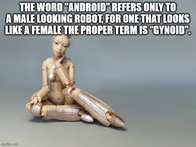 socially awesome penguin - The Word "Android" Refers Only To A Male Looking Robot, For One That Looks A Female The Proper Term Is Gynoid". imgflip.com