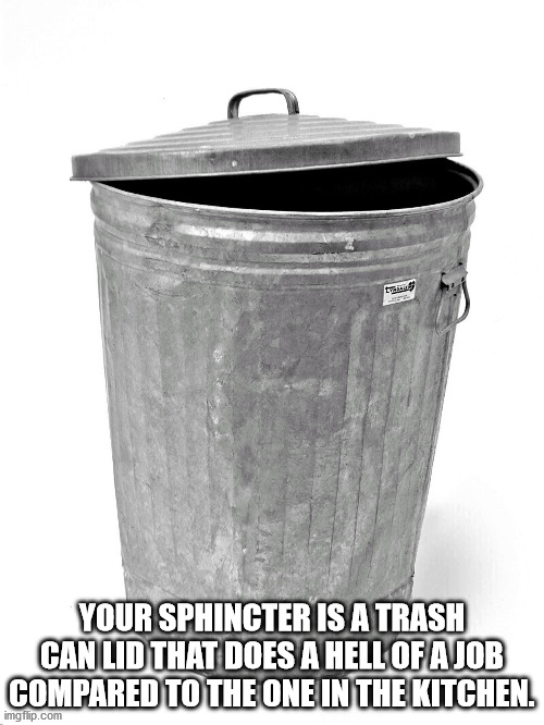 trash can memes - ty Your Sphincter Is A Trash Can Lid That Does A Hell Of A Job Compared To The One In The Kitchen. imgflip.com