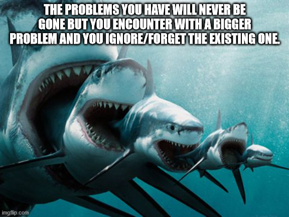 small to big shark - The Problems You Have Will Never Be Gone But You Encounter With A Bigger Problem And You IgnoreForget The Existing One imgflip.com