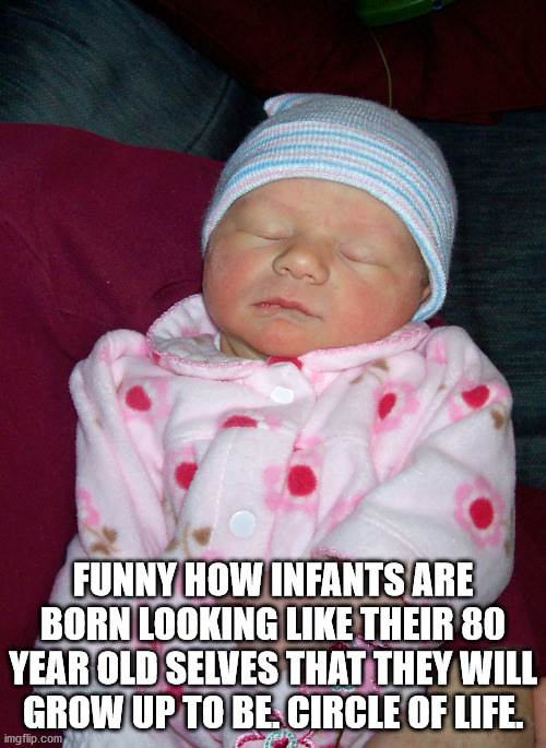 infant - Funny How Infants Are Born Looking Their 80 Year Old Selves That They Will Grow Up To Be Circle Of Life. imgflip.com