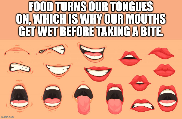Food Turns Our Tongues On, Which Is Why Our Mouths Get Wet Before Taking A Bite. imgflip.com