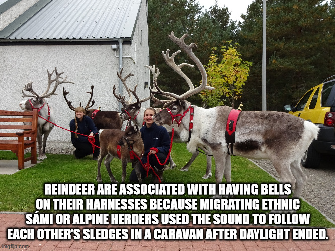 chhipa - Reindeer Are Associated With Having Bells On Their Harnesses Because Migrating Ethnic Smi Or Alpine Herders Used The Sound To Each Other'S Sledges In A Caravan After Daylight Ended. imgrup.com