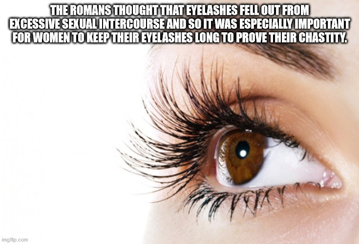 maple color eyes - The Romans Thought That Eyelashes Fell Out From Excessive Sexual Intercourse And So It Was Especially Important For Women To Keep Their Eyelashes Long To Prove Their Chastity. imgflip.com