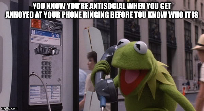 kermit wednesday meme - You Know You'Re Antisocial When You Get Annoyed At Your Phone Ringing Before You Know Who It Is imgflip.com