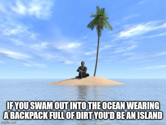 forgot my phone at home meme - If You Swam Out Into The Ocean Wearing A Backpack Full Of Dirt You'D Be An Island imgflip.com
