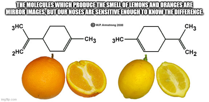 The Molecules Which Produce The Smell Of Lemons And Oranges Are Mirror Images, But Our Noses Are Sensitive Enough To Know The Difference. 3HC W.P.Armstrong 2008 CH3 CH3 3HC 2HC CH2 imgflip.com
